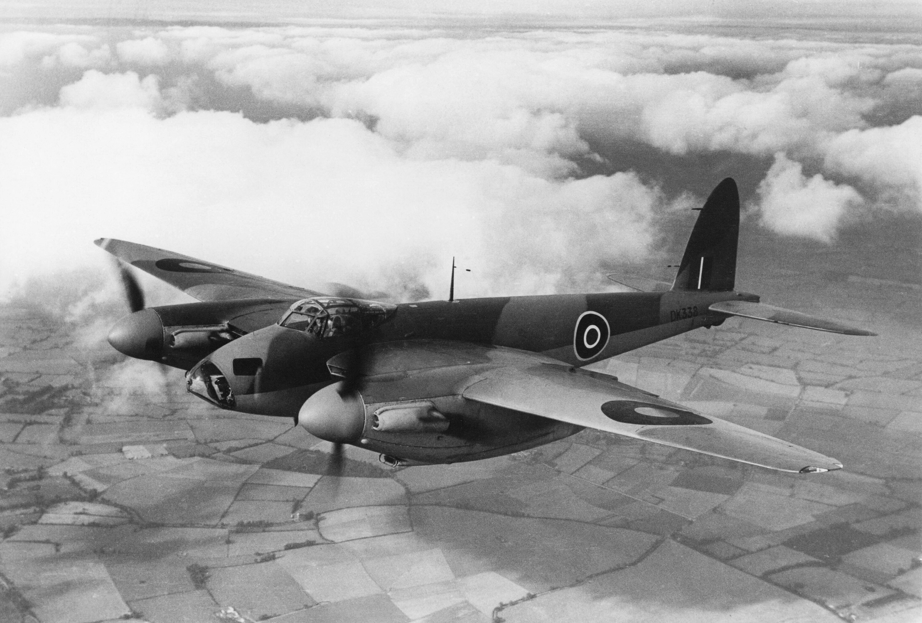 mosquito